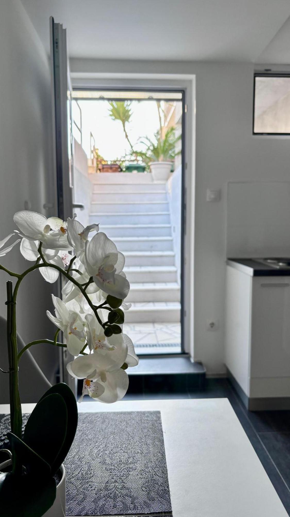 Apartman Branka *** سبليت المظهر الخارجي الصورة